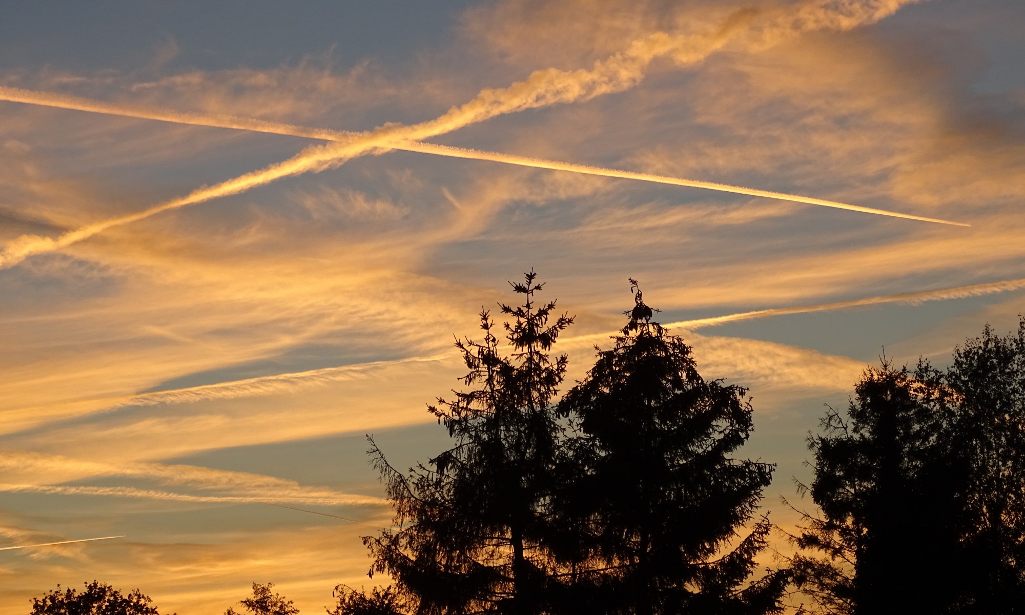 sunset above trees zonsondergang boven bomen