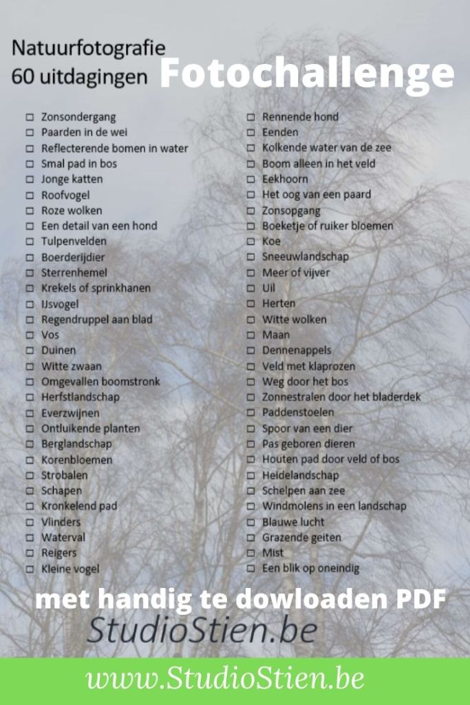 natuurfotografie fotografiechallenge challenge  fotograferen fotografie fotografietips