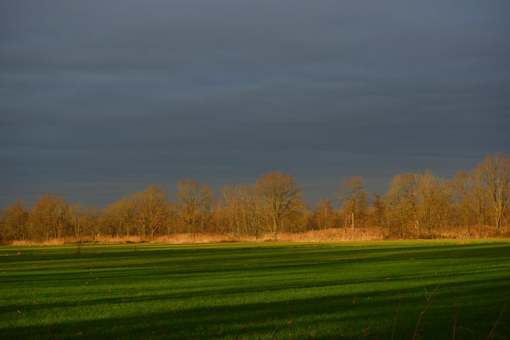 zonsopgang water, reflecties wolken natuurfotografie landschapsfotografie fotografietips 