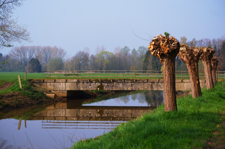 Landschapsfotografie 