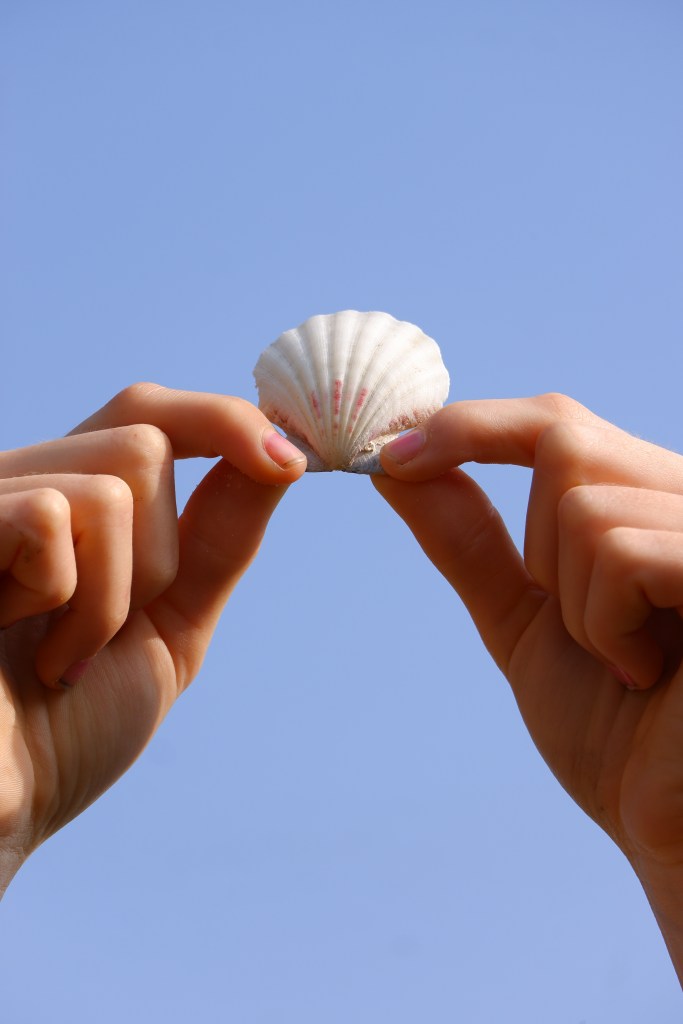 Verticale foto schelp handen blauwe lucht 