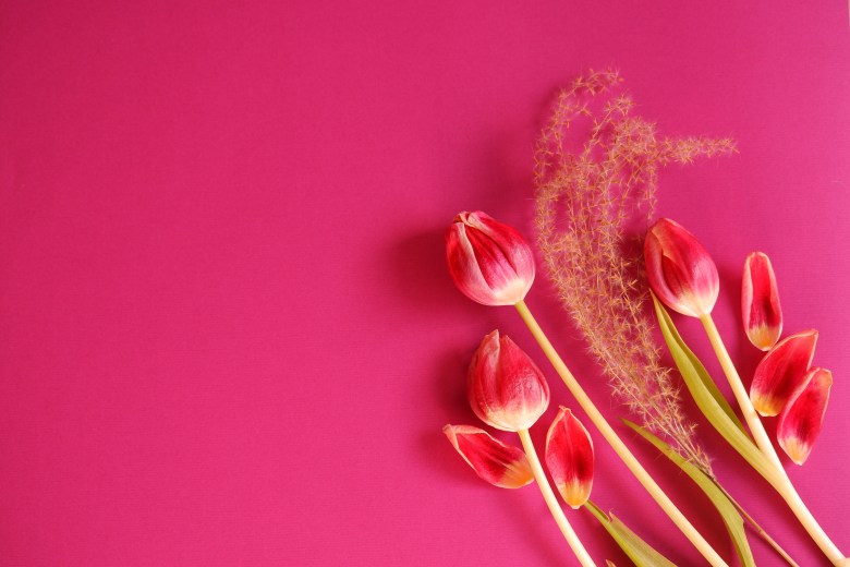 basisbegrippen fotografie beginners bloemenfotografie stockfoto fotograferen
