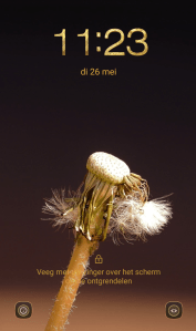 verticale foto's fotografie fotografietips smartphonefotografie