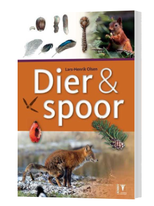 camouflage fotografie sporen herkennen natuurfotografie