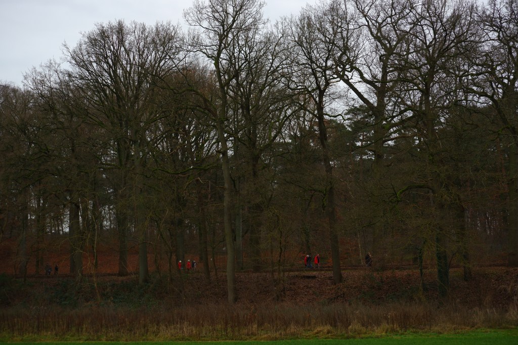 camouflage camoufleren natuurfotografie camouflagepatroon