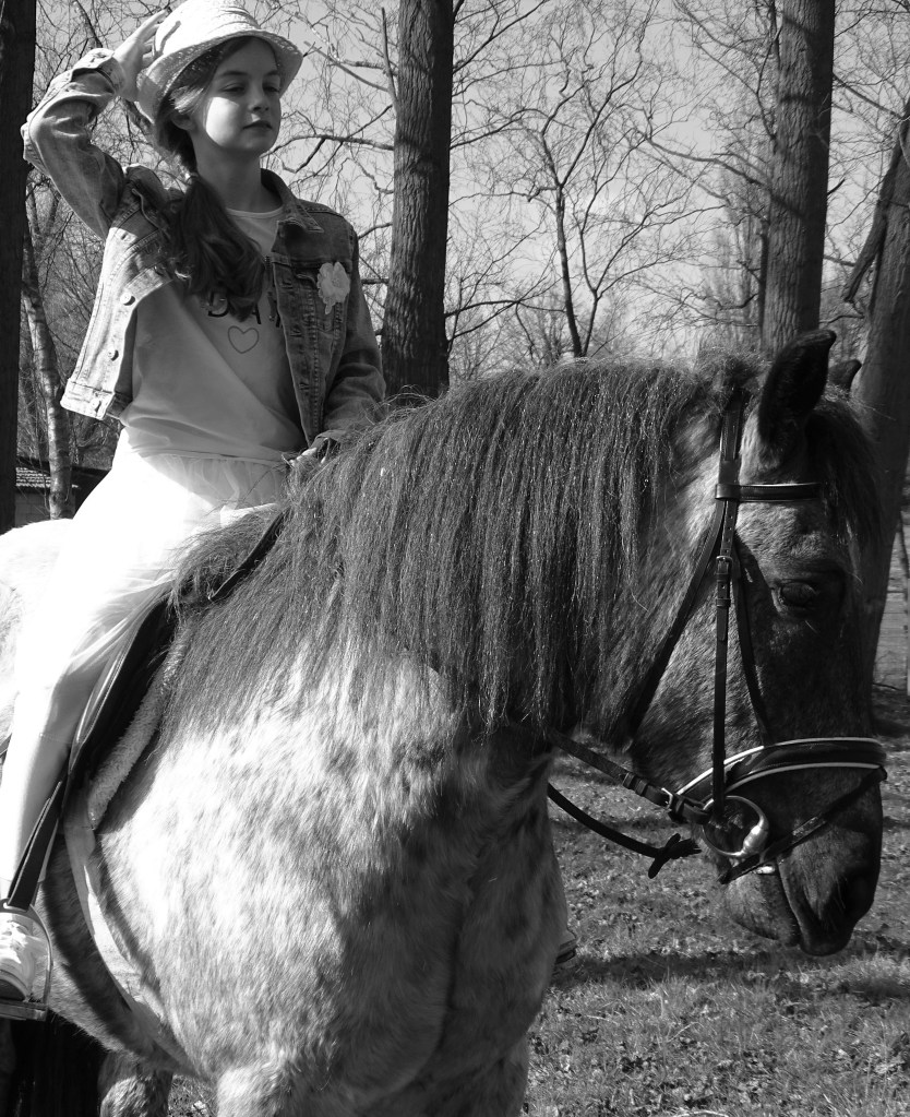 dierenfotografie natuurfotografie paardenfotografie communie fotograferen fotografietips fotografieblog
