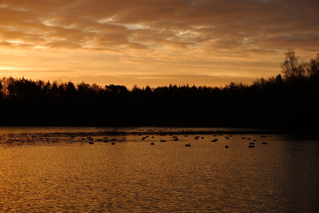 belichting fotografie fotografietips natuurfotografie landscahpsfotografie gouden uurtje
